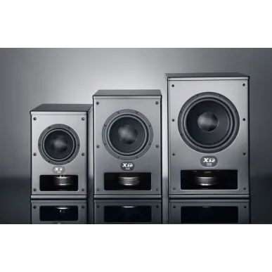Сабвуфер M&K Sound Push-Pull X12 Black